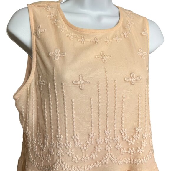 Forever 21 Womens Dress Size L  Pink Netting Embroidered Floral Feminine Fairy - Picture 2 of 9